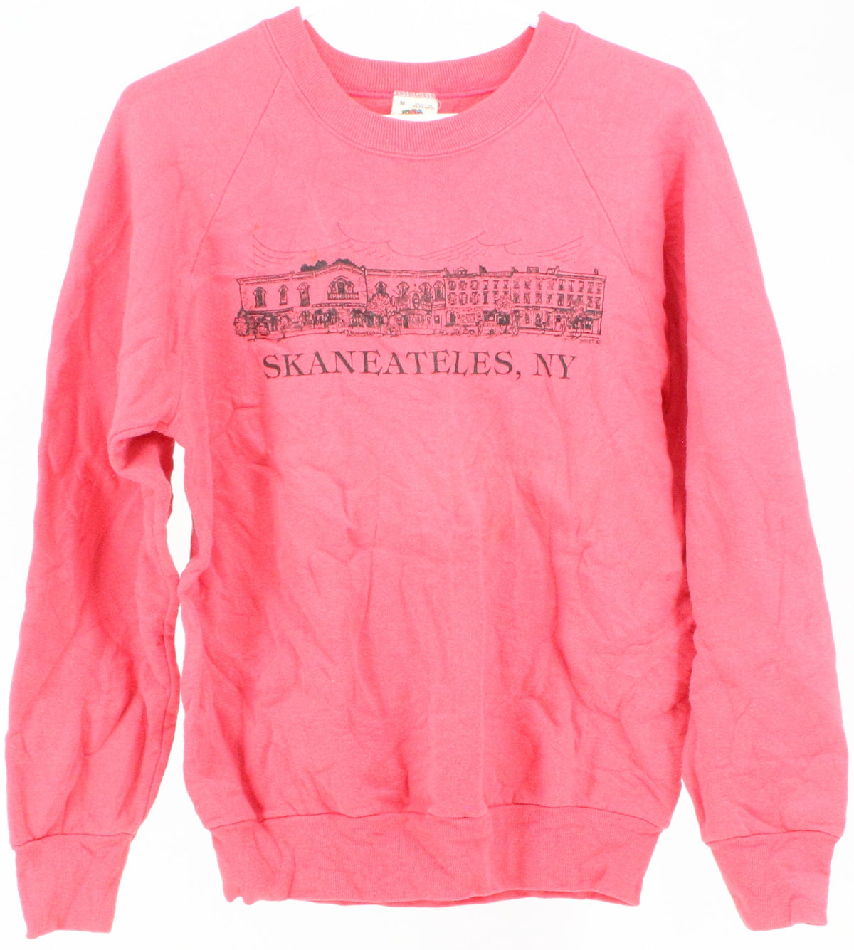 Fruit Of The Loom Pink Skaneateles, NY Graphic Print Sweatshirt