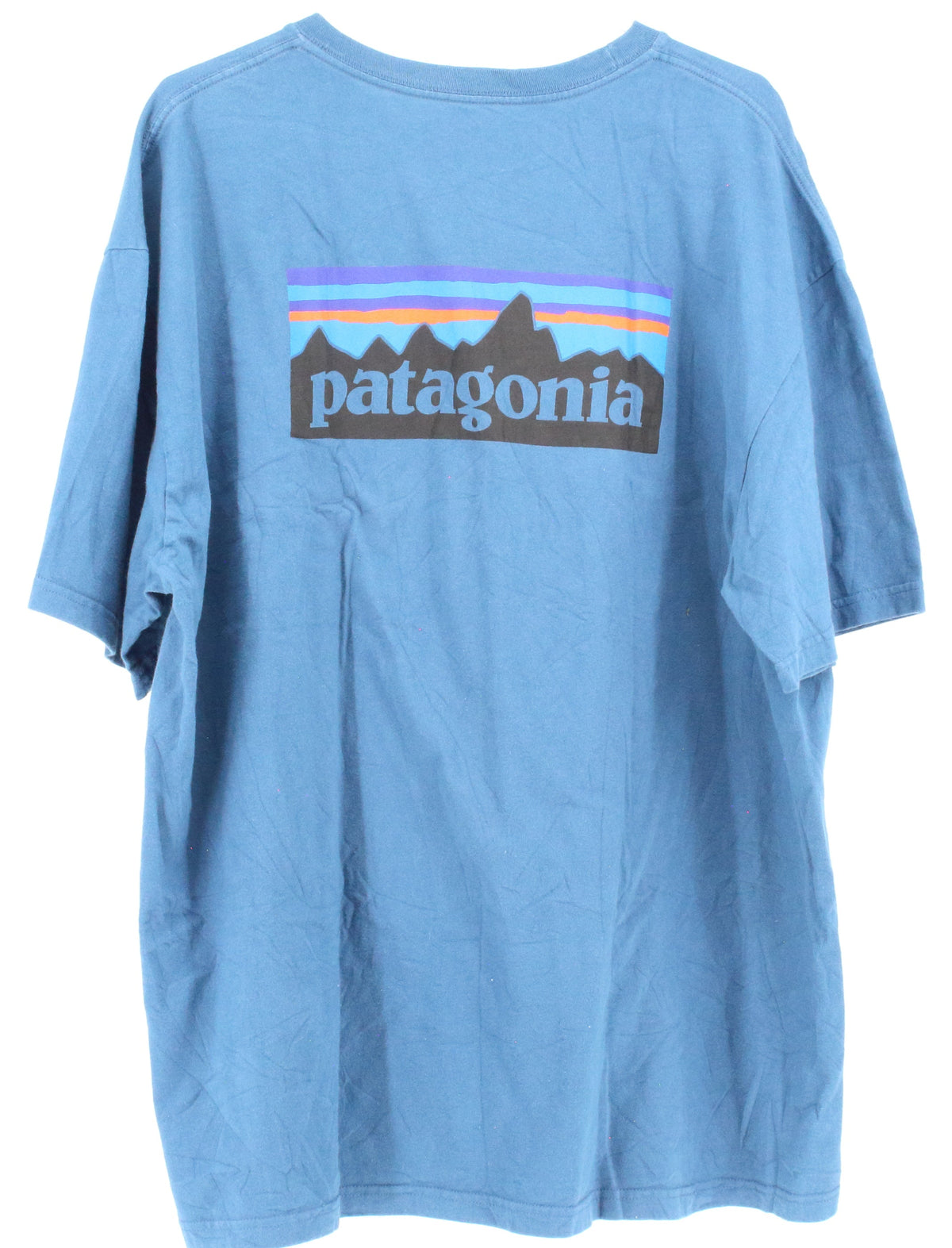 Patagonia Blue Back Graphic T-shirt