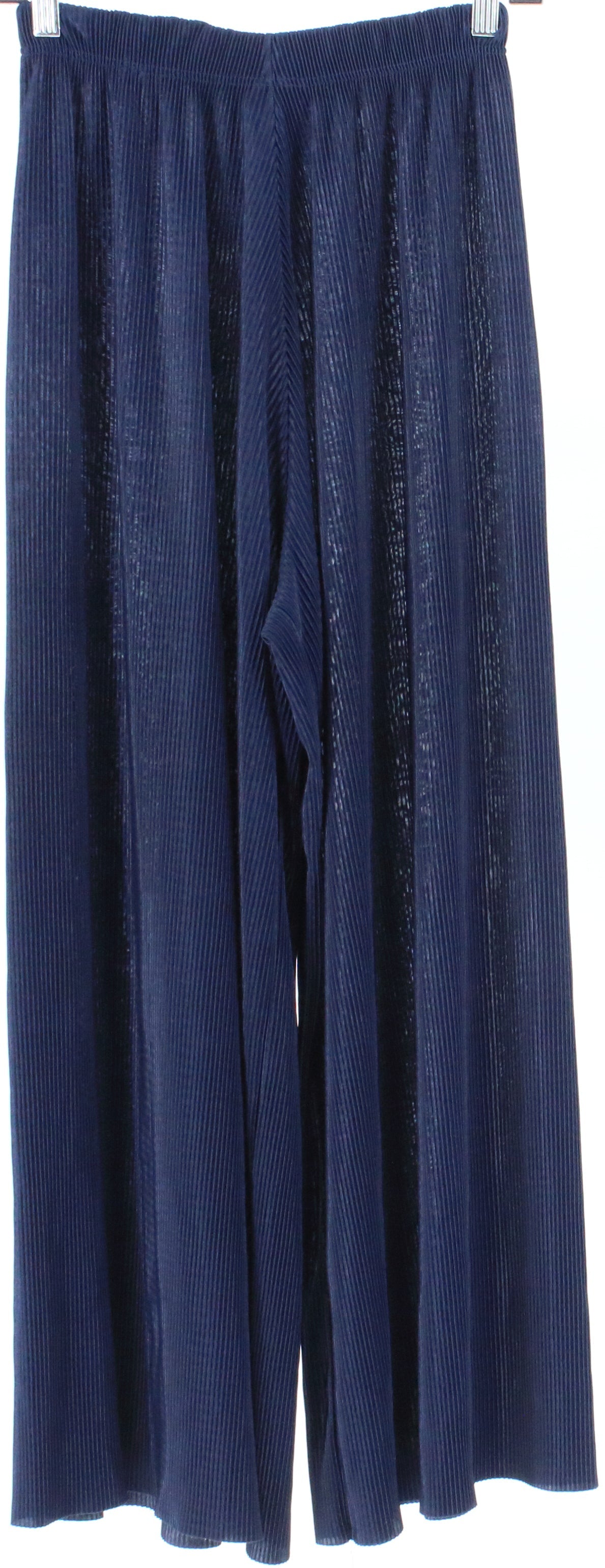 The Complex Navy Blue Pleated Pants