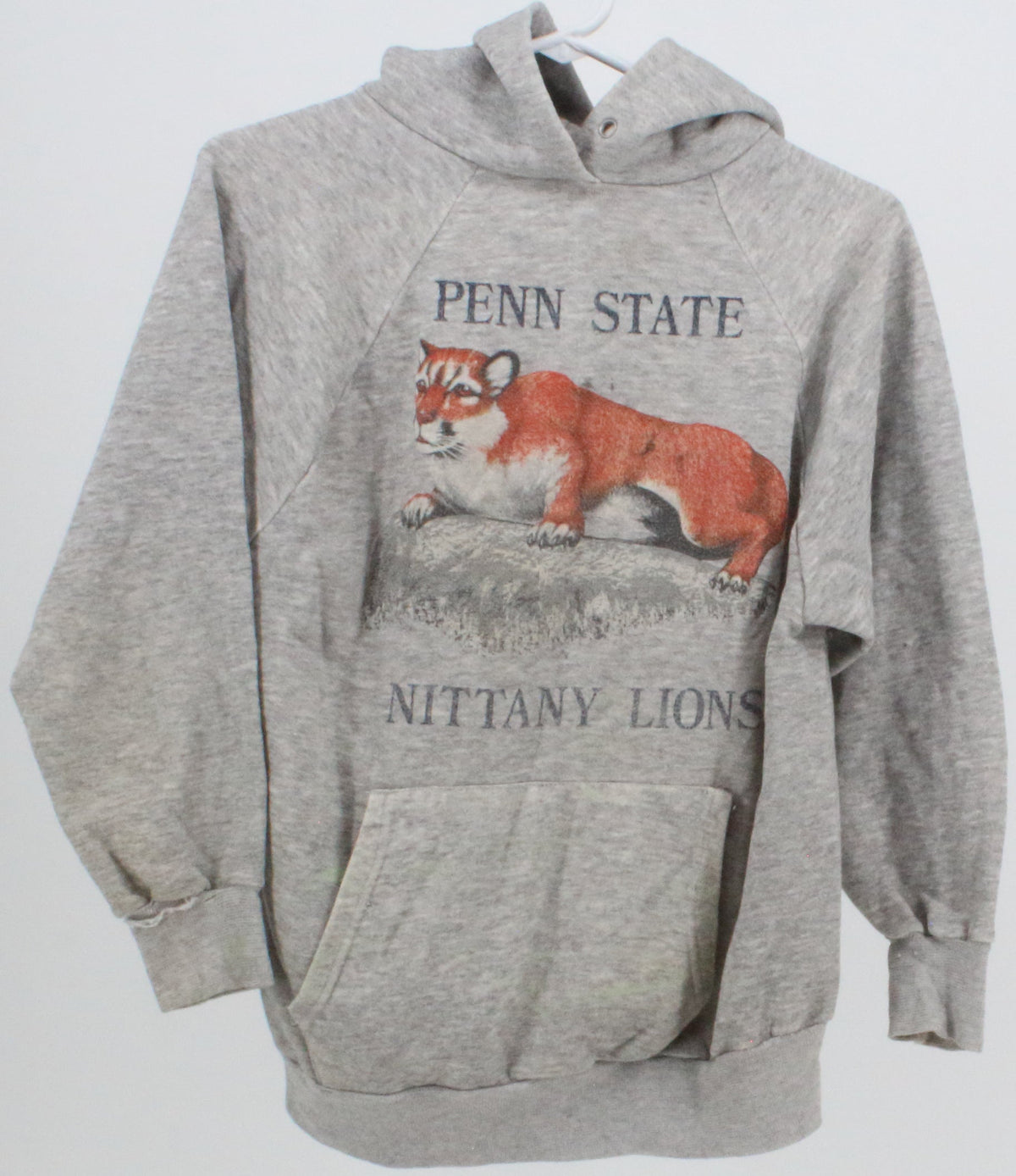 Penn State Nittany Lions Grey Hooded Sweatshirt