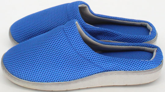 Blue Slipper
